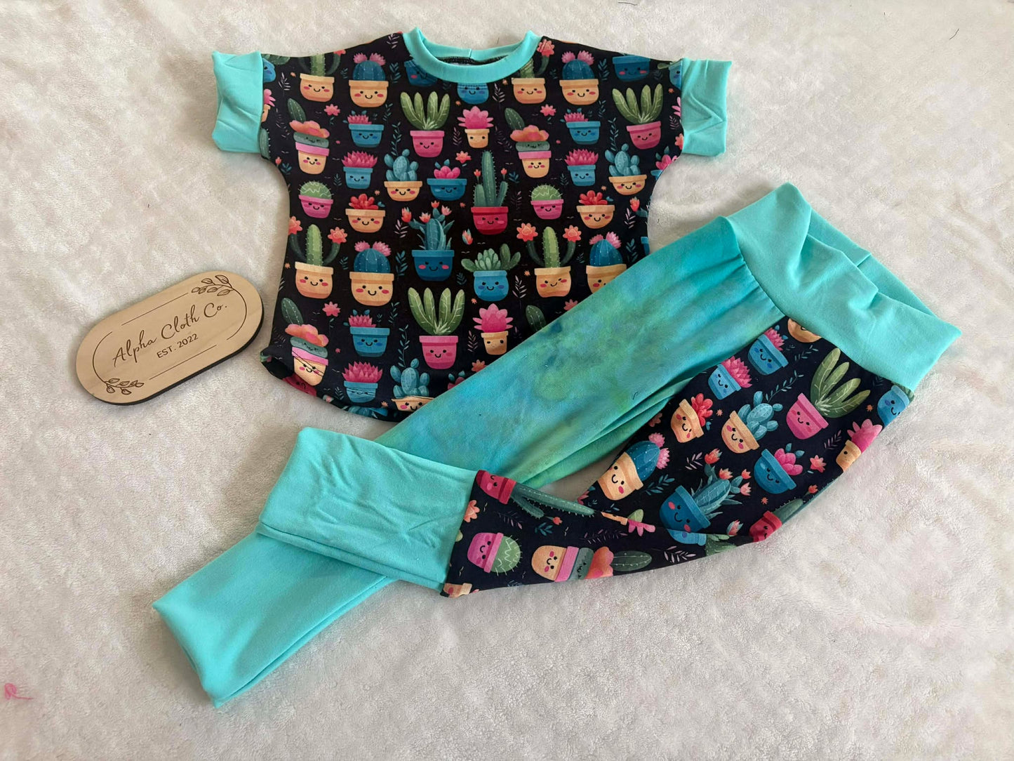 1-3 Cacti Cuties Set