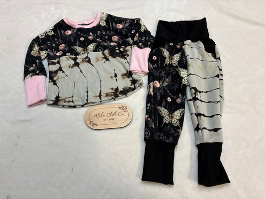 1-3 Moth/ Desert set